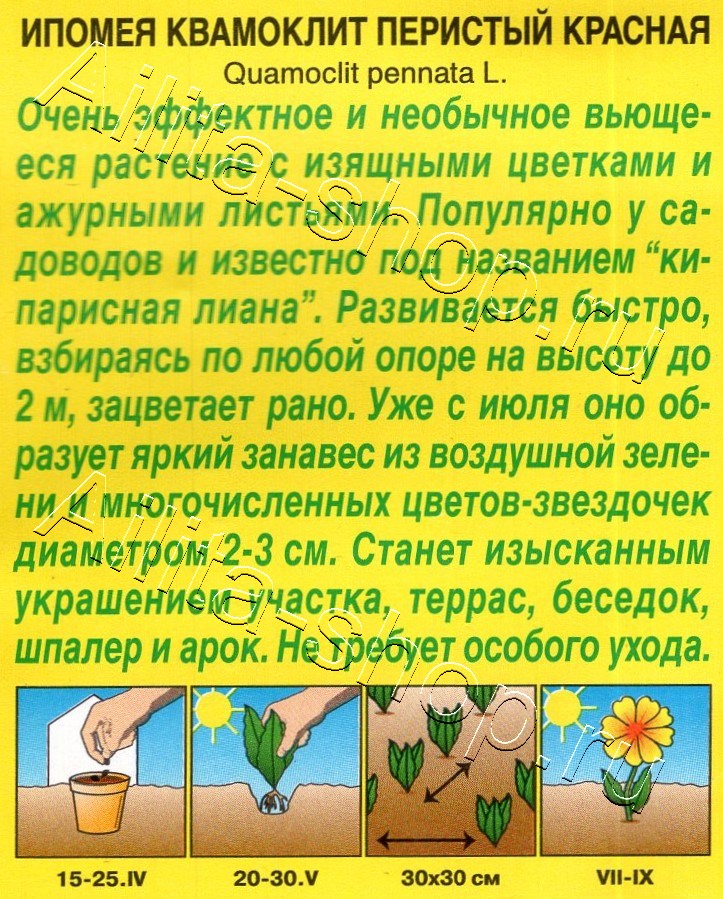 Ипомея Квамоклит красная 0,5г