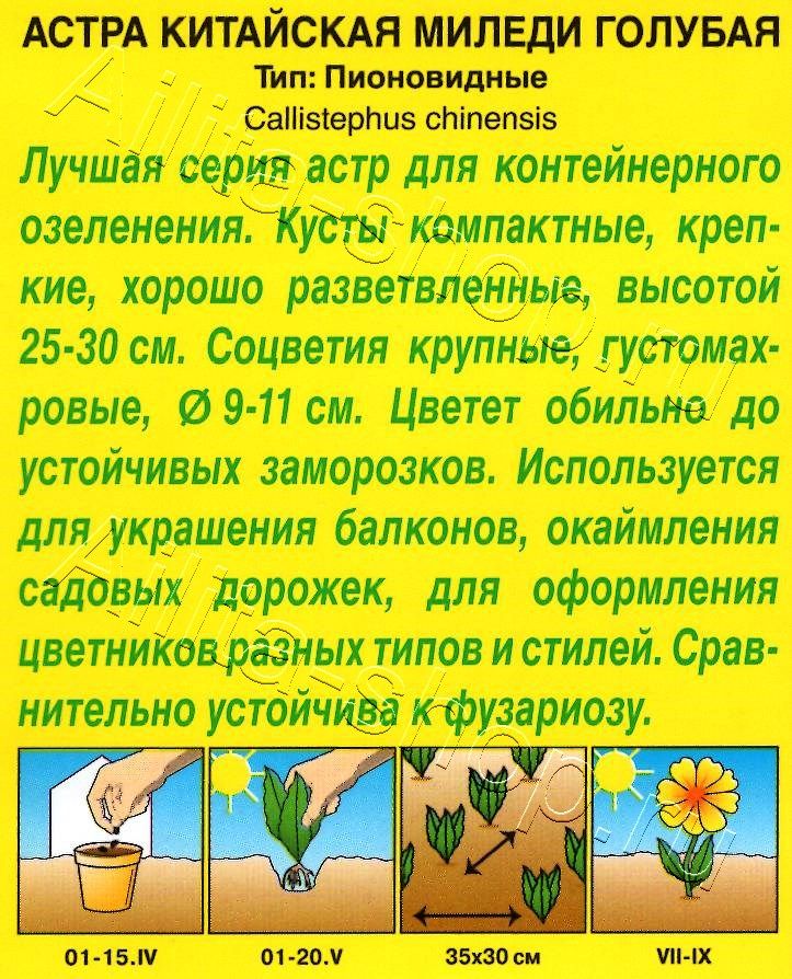 Астра Миледи голубая 0,2г