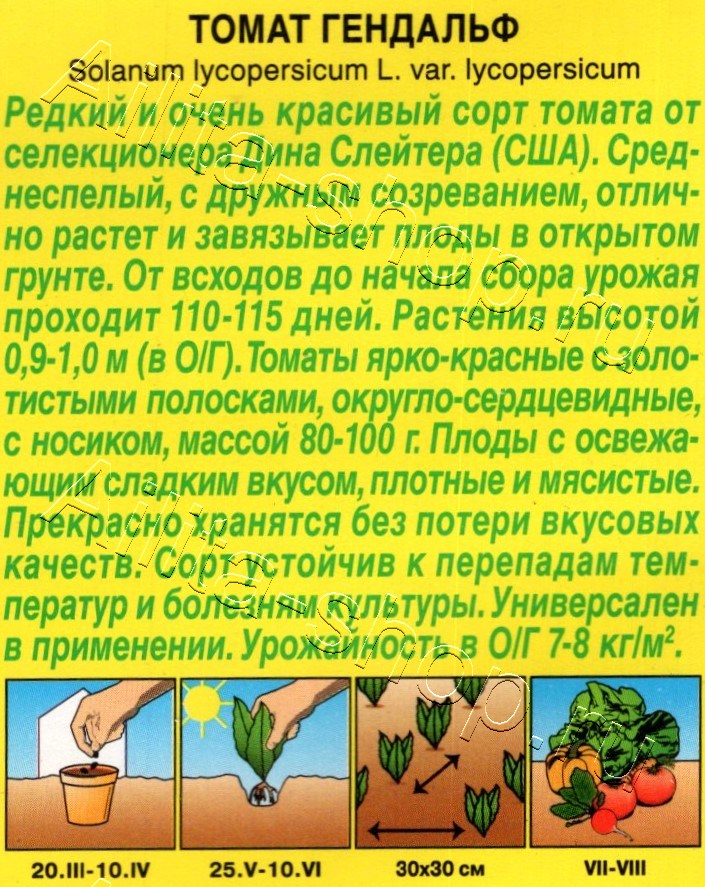 Томат Гендальф 20шт