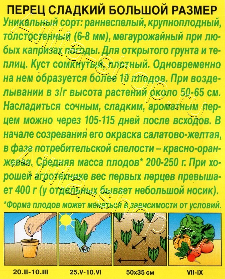 Перец сладкий Большой размер 20шт