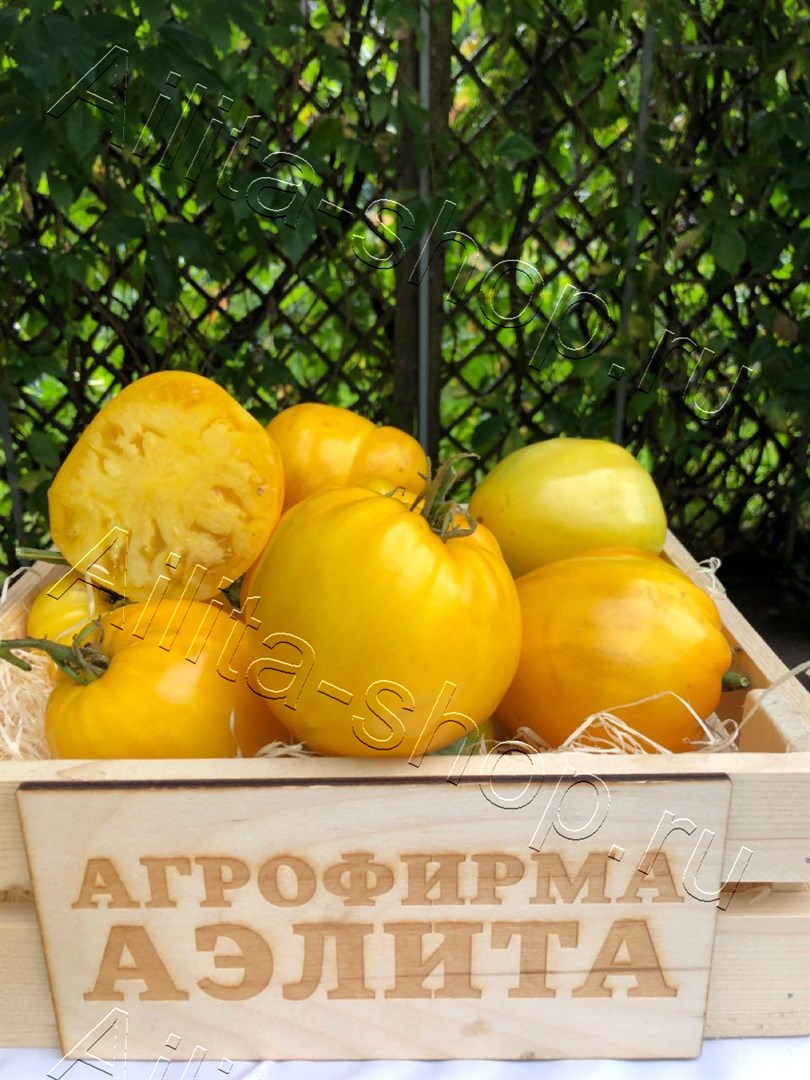 Томат Жозефина F1 15 шт