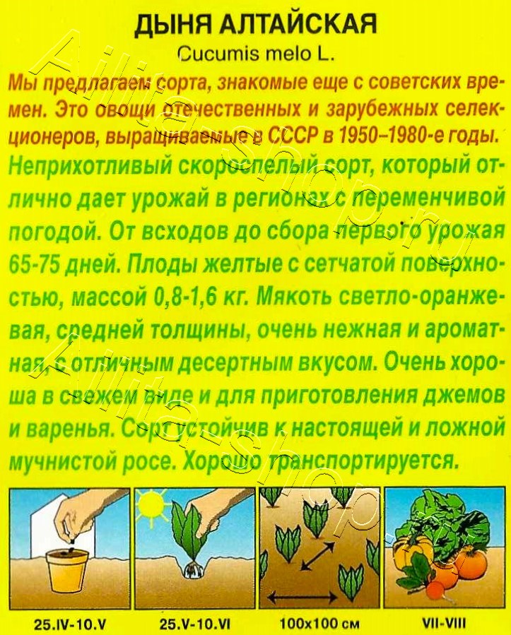 Дыня Алтайская 1г