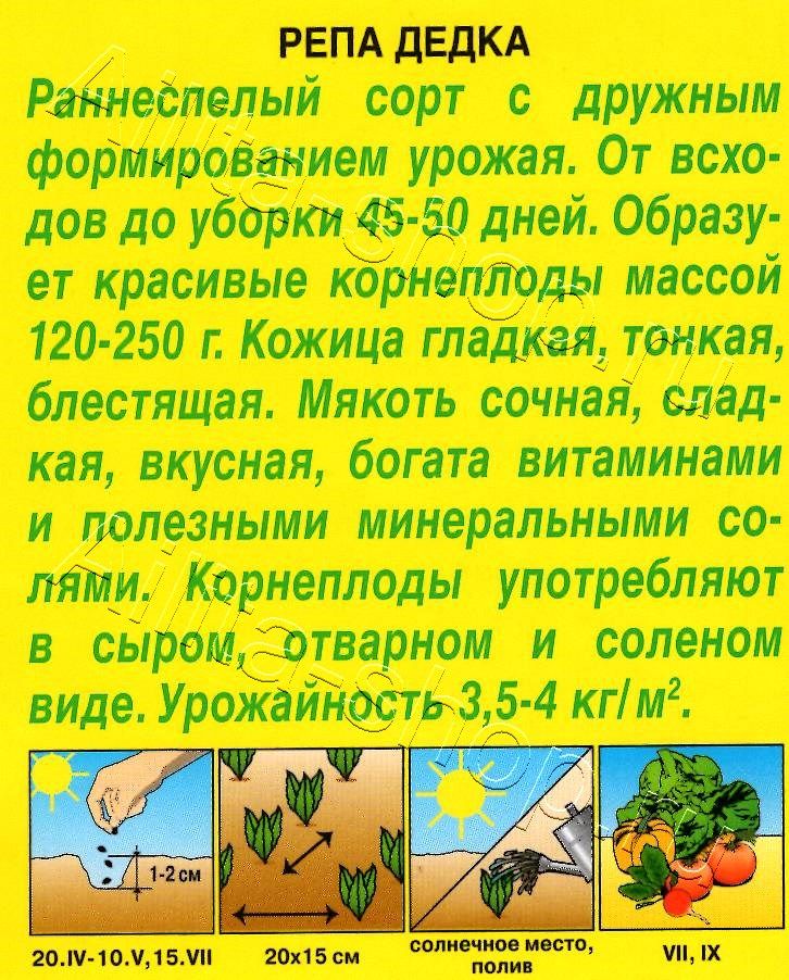 Репа Дедка 1г