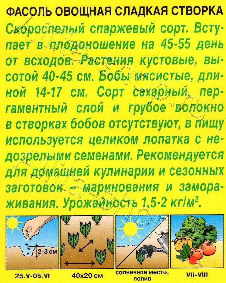 Фасоль овощная Сладкая створка 5г