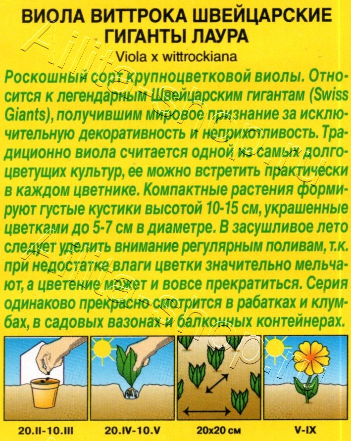 Виола Швейцарские гиганты лаура 20шт