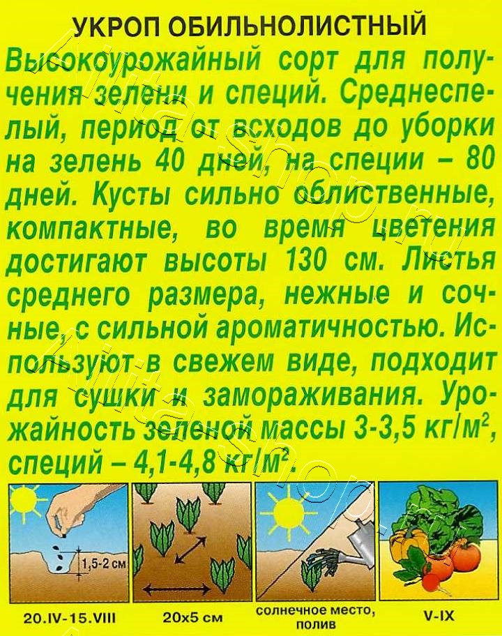 Укроп Обильнолистный 3г