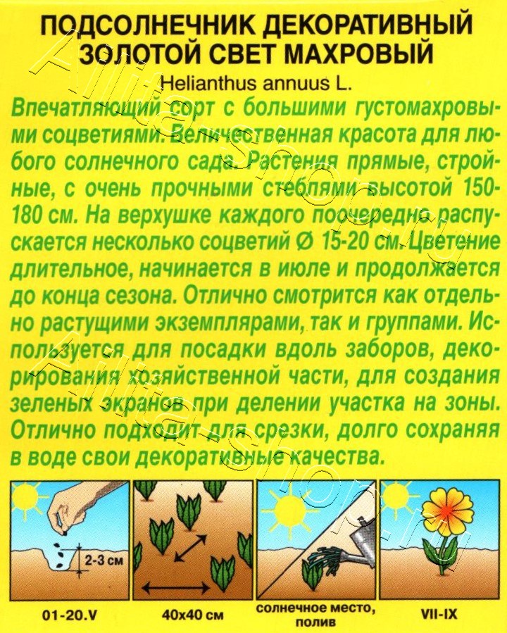 Подсолнечник декоративный махровый Золотой свет 0,5г