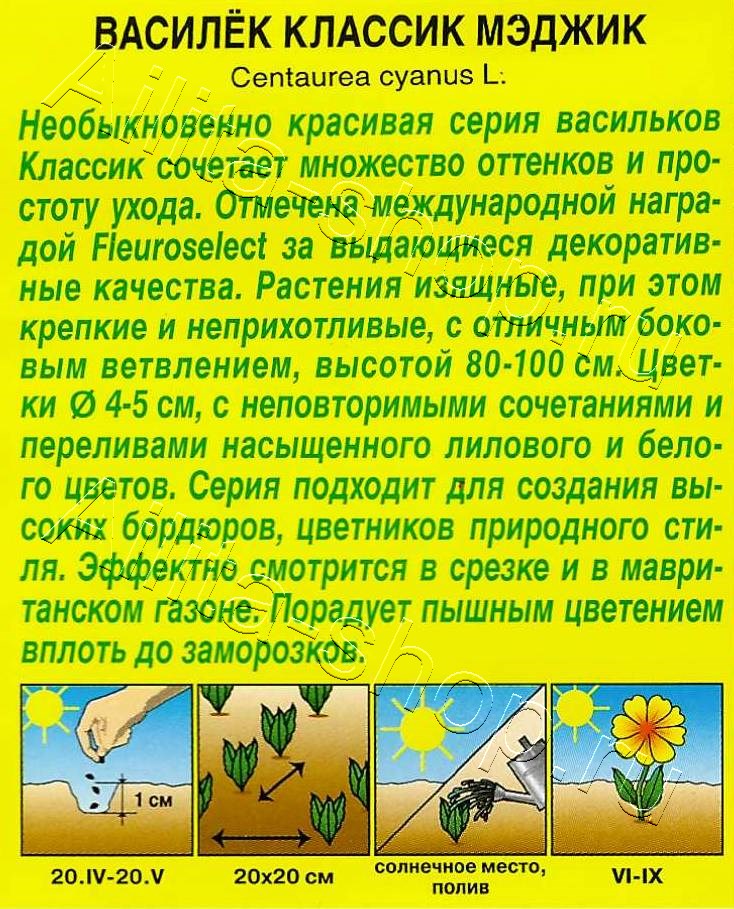 Василек Классик Мэджик 0,1г