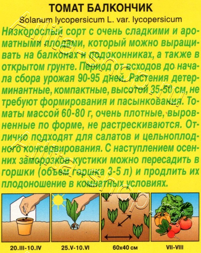 Томат Балкончик 10шт