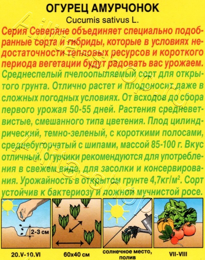 Огурец Амурчонок 10шт