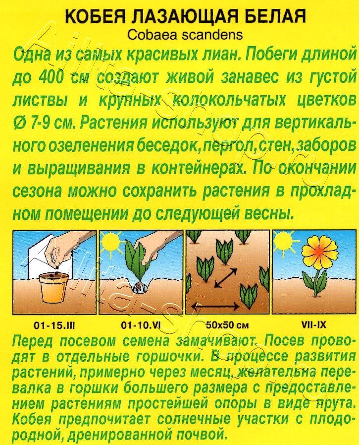 Кобея белая 0,45г