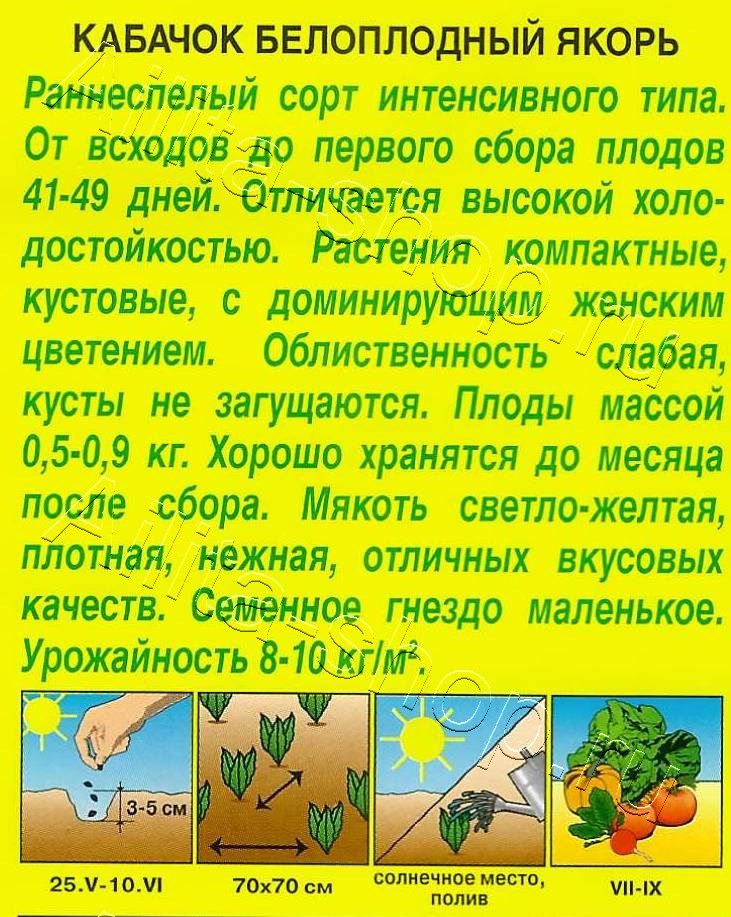 Кабачок белоплодный Якорь 2г