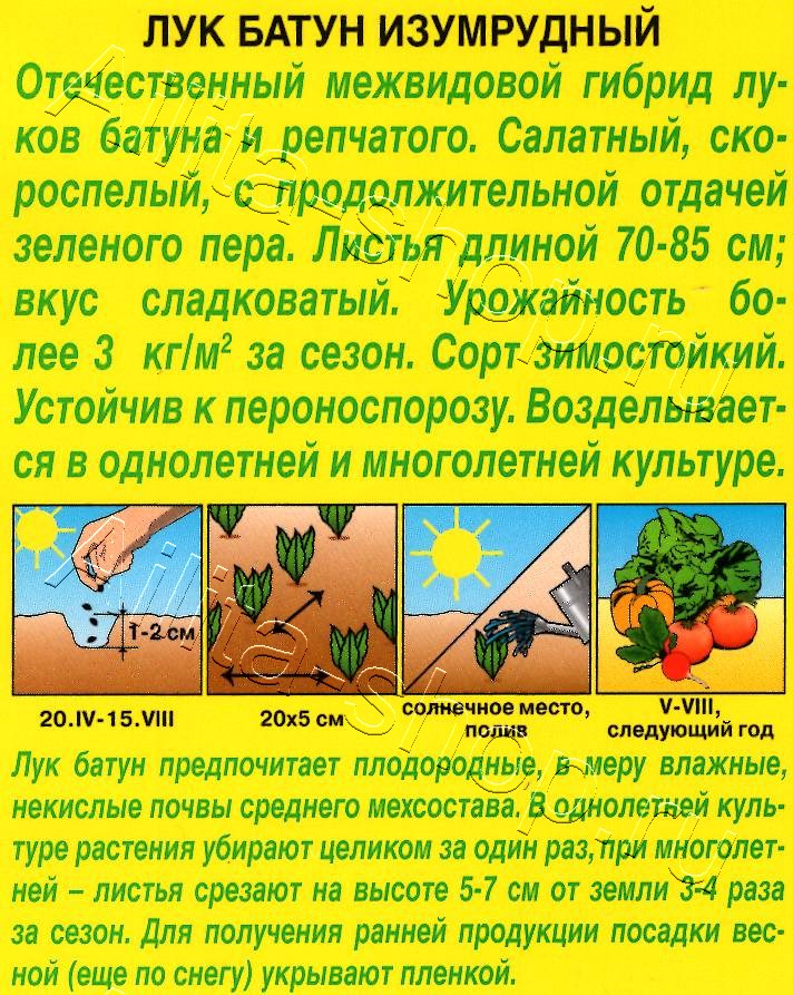 Лук батун Изумрудный 0,5г