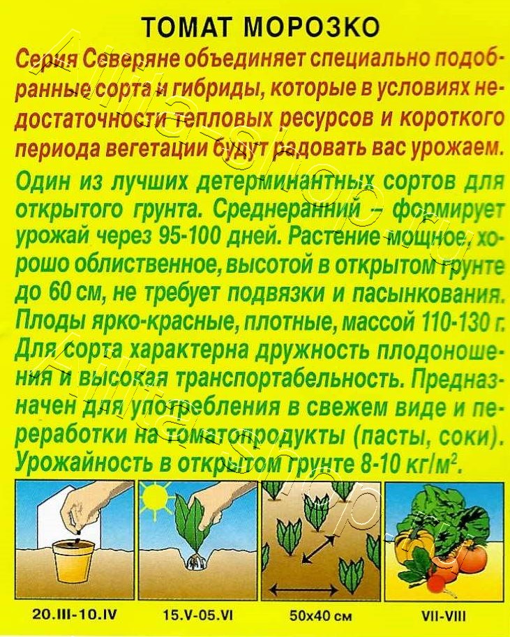 Томат Морозко 0,2г