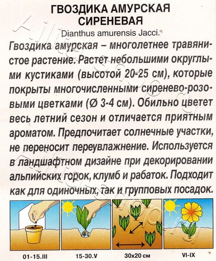 Гвоздика амурская сиреневая 0,05г