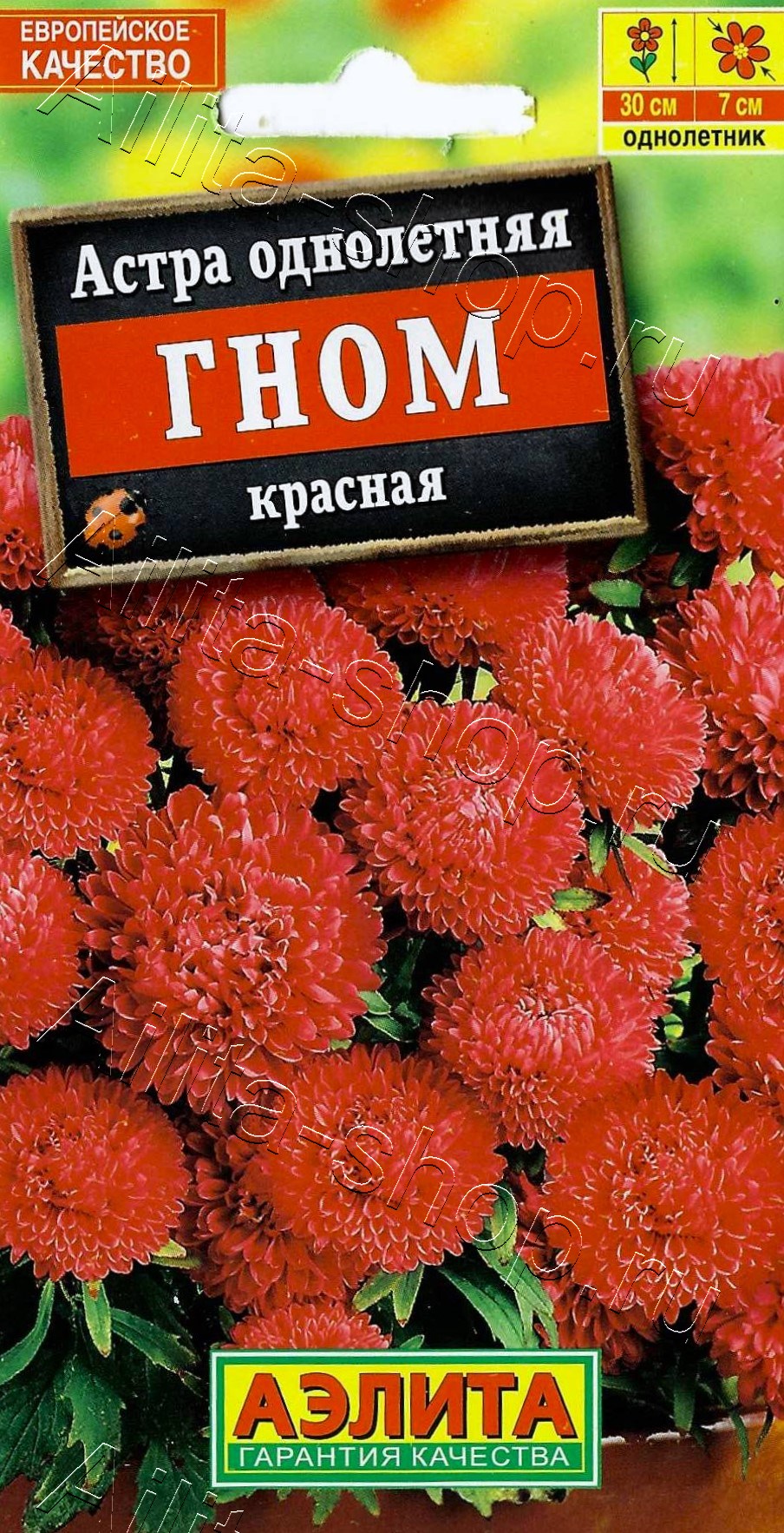 Астра Гном красная 0,2г