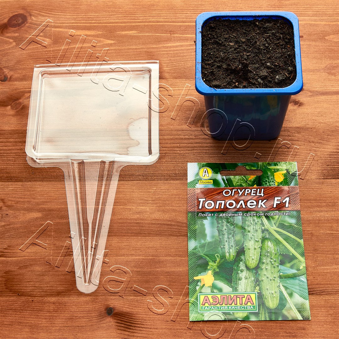 Садовая рамка Незабудька 5шт