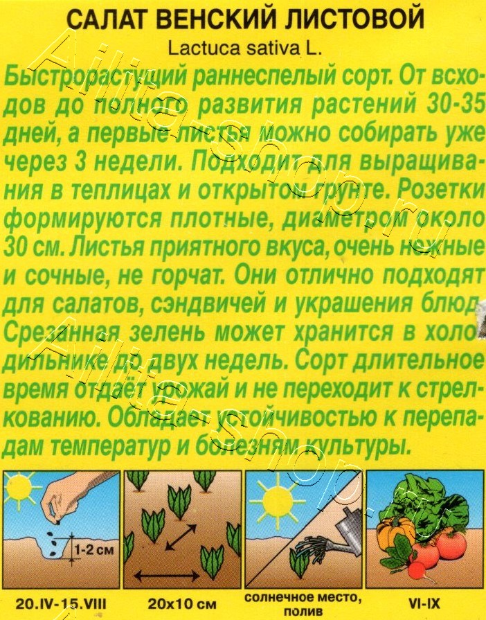 Салат Венский листовой 0,5г