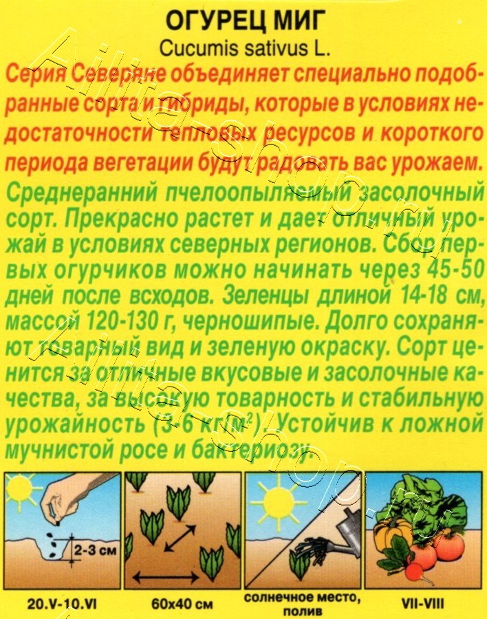 Огурец Миг 10шт