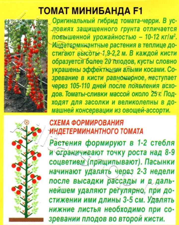 Томат Минибанда F1 10шт