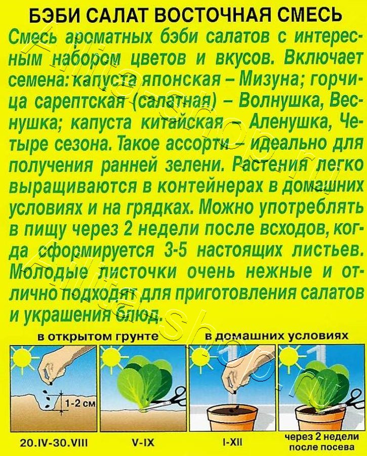 Бэби салат Восточная смесь 0,5г