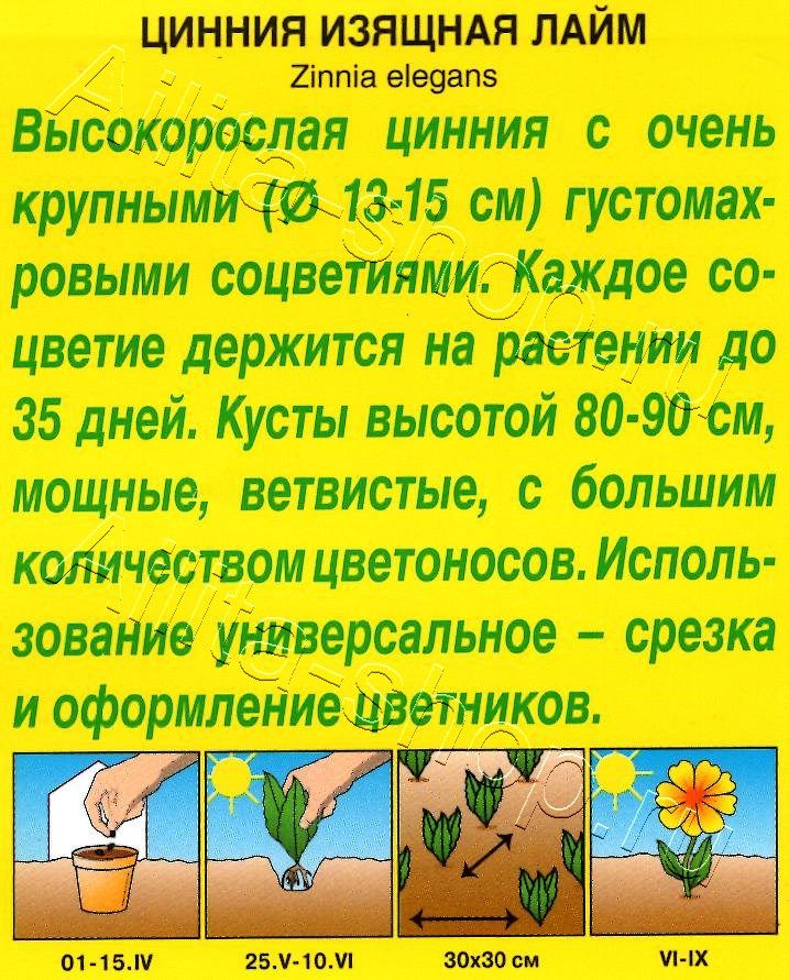 Цинния Лайм 0,3г