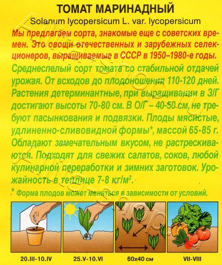 Томат Маринадный 20шт