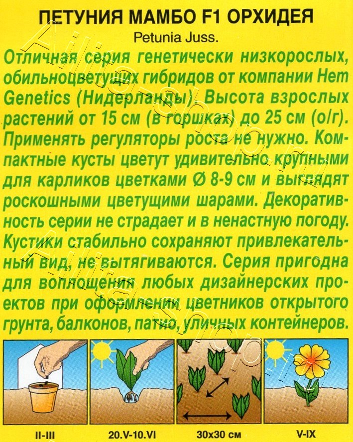 Петуния Мамбо F1 орхидея 7шт