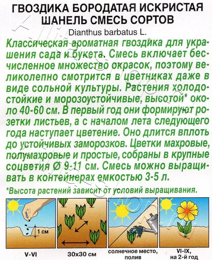 Гвоздика Искристая Шанель, смесь сортов 0,1г
