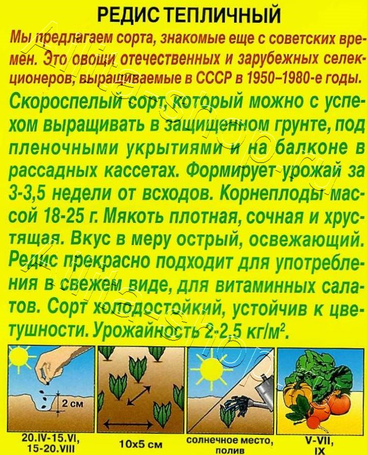 Редис Тепличный 3г