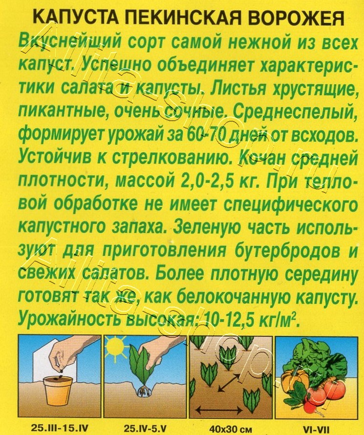 Капуста Пекинская Ворожея 0,3г