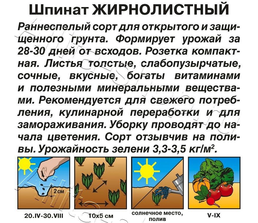 Шпинат Жирнолистный 3г