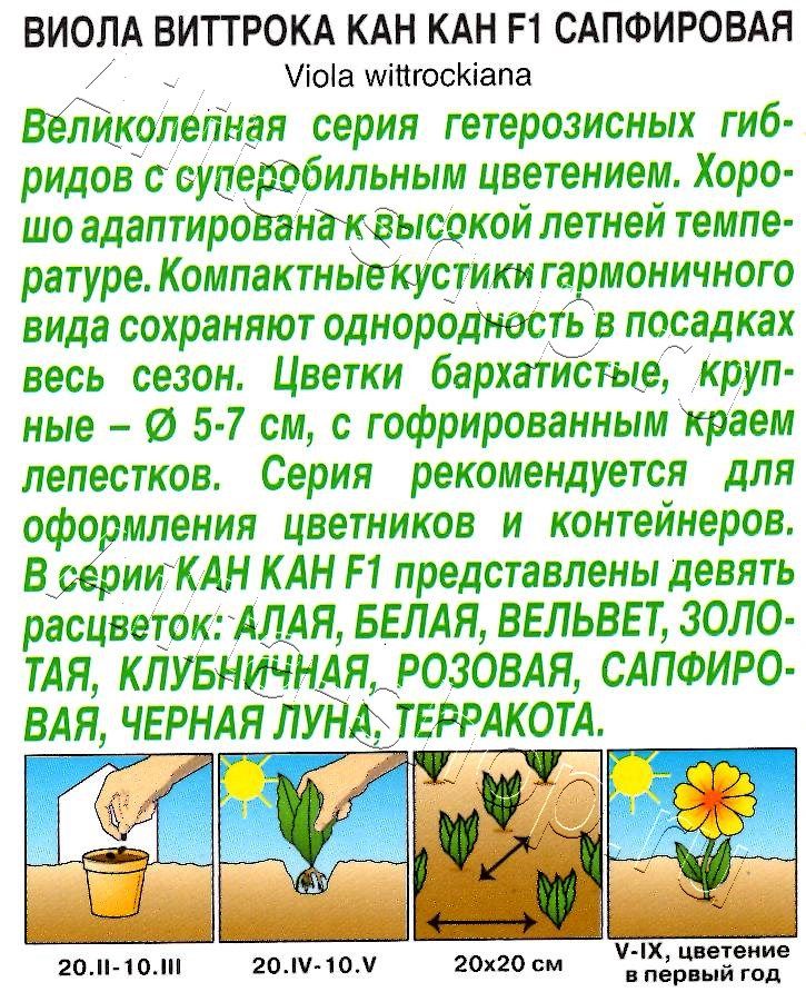 Виола Кан Кан F1 сапфировая 7шт