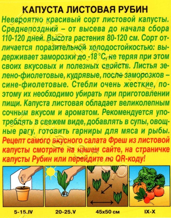 Капуста листовая Рубин 0,3г