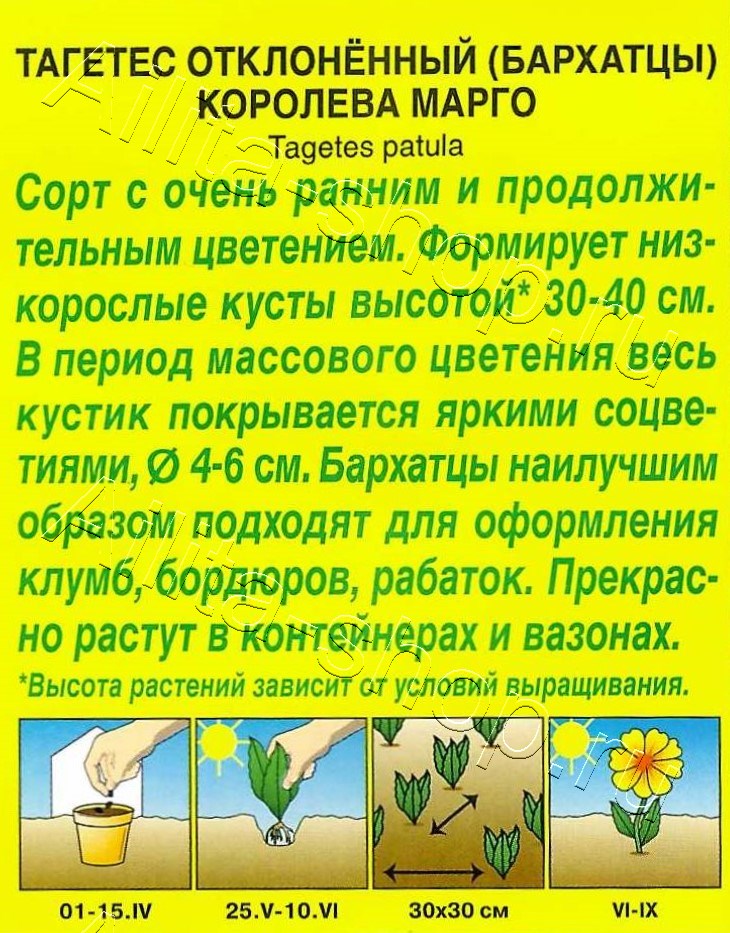 Бархатцы Королева Марго отклоненные 0,3г