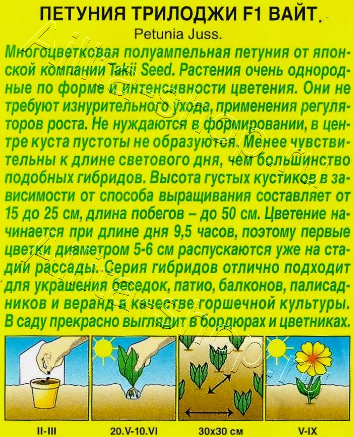 Петуния Трилоджи F1 вайт полуамельная 5шт