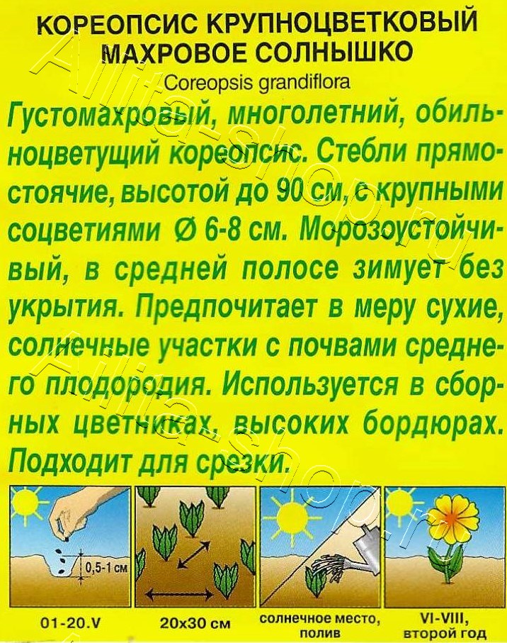 Кореопсис Махровое солнышко 0,05г