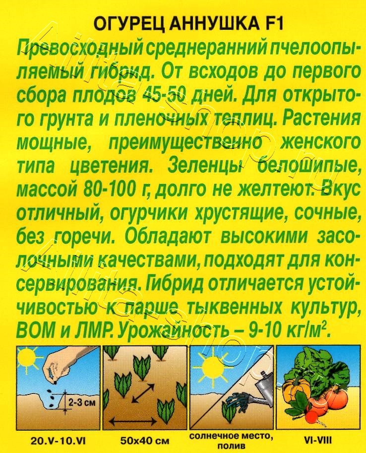 Огурец Аннушка F1 10шт