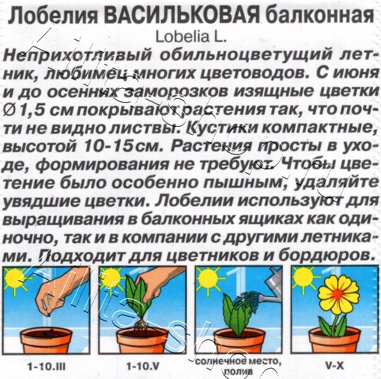 Лобелия Васильковая балконная 0,05г
