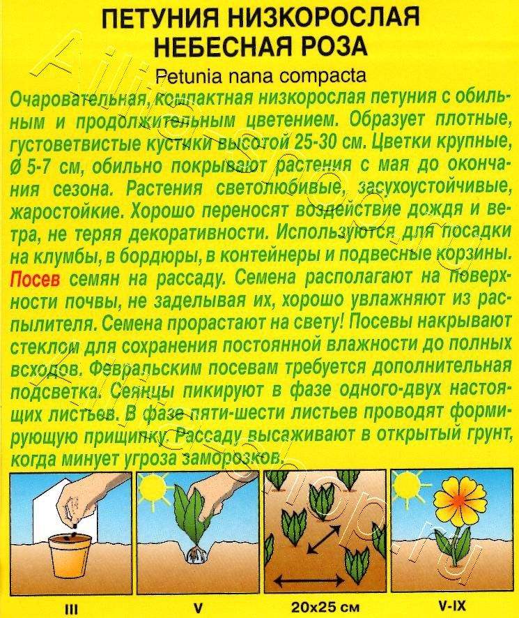 Петуния Небесная роза низкорослая 0,1г