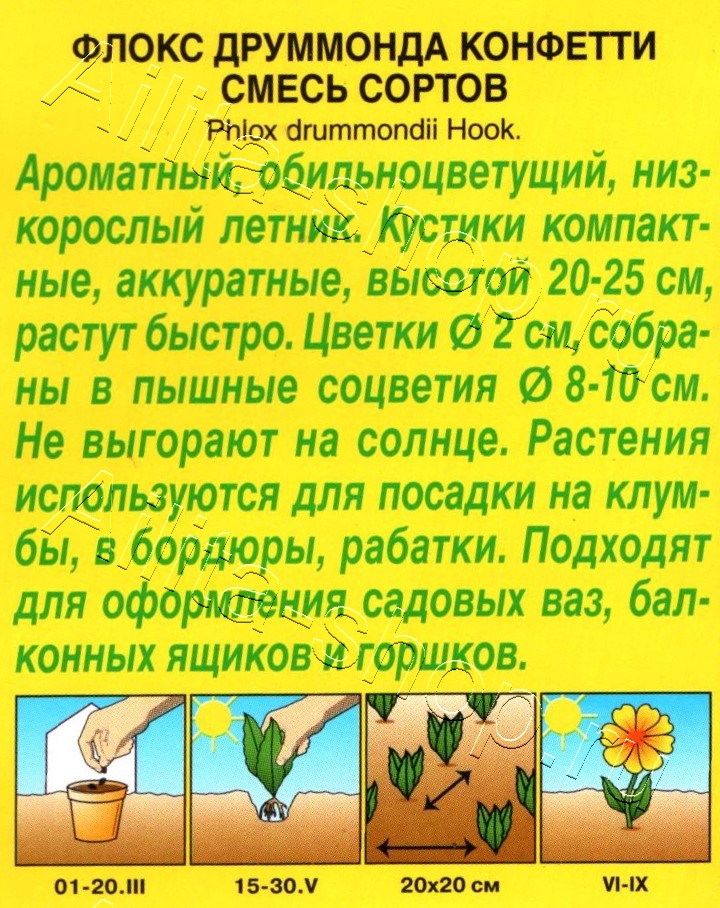 Флокс Конфетти, смесь окрасок 0,1г