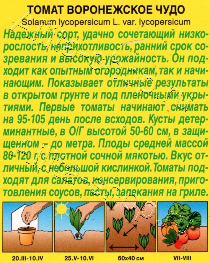 Томат Воронежское чудо 15шт