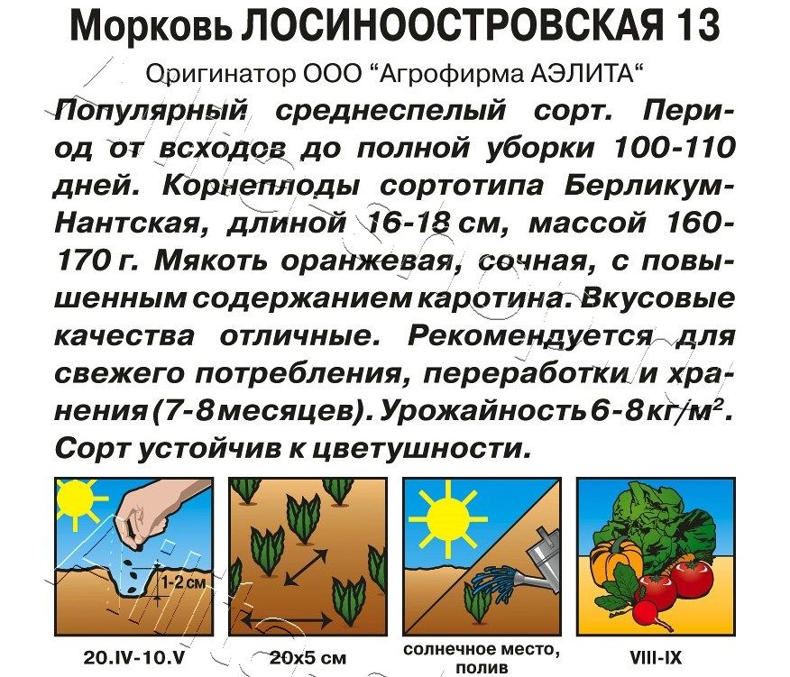Морковь Лосиноостровская 13 2г