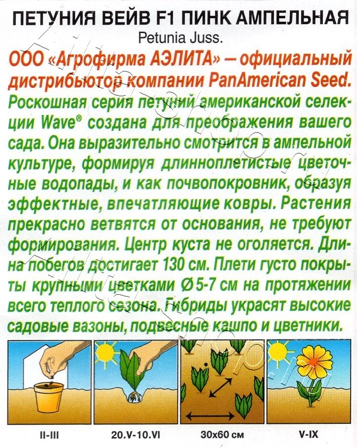 Петуния Вейв F1 пинк ампельная 4шт