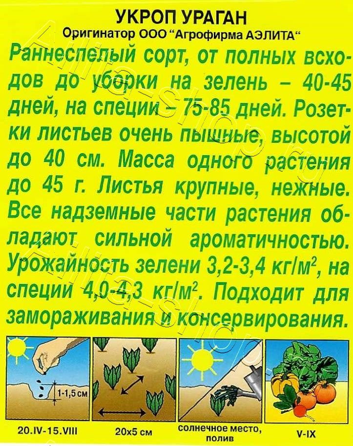 Укроп Ураган 3г