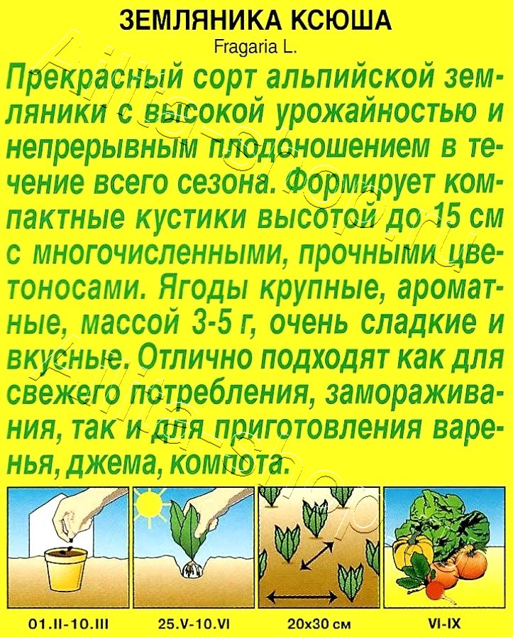 Земляника альпийская Ксюша 0,04г