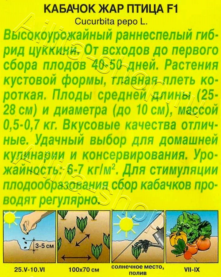 Кабачок цуккини Жар птица F1 5шт