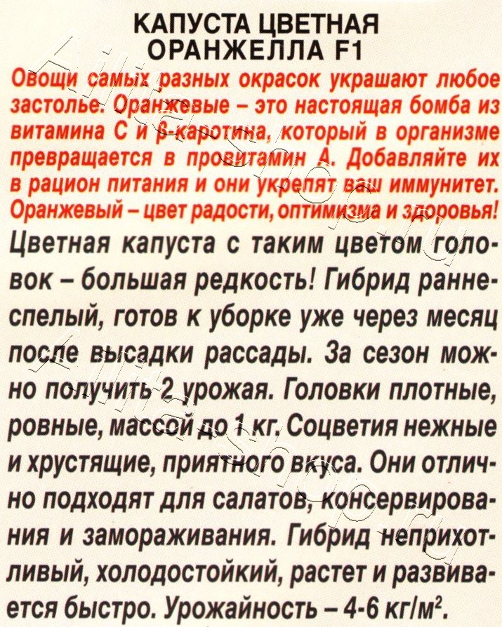 Капуста цветная Оранжелла F1 5шт