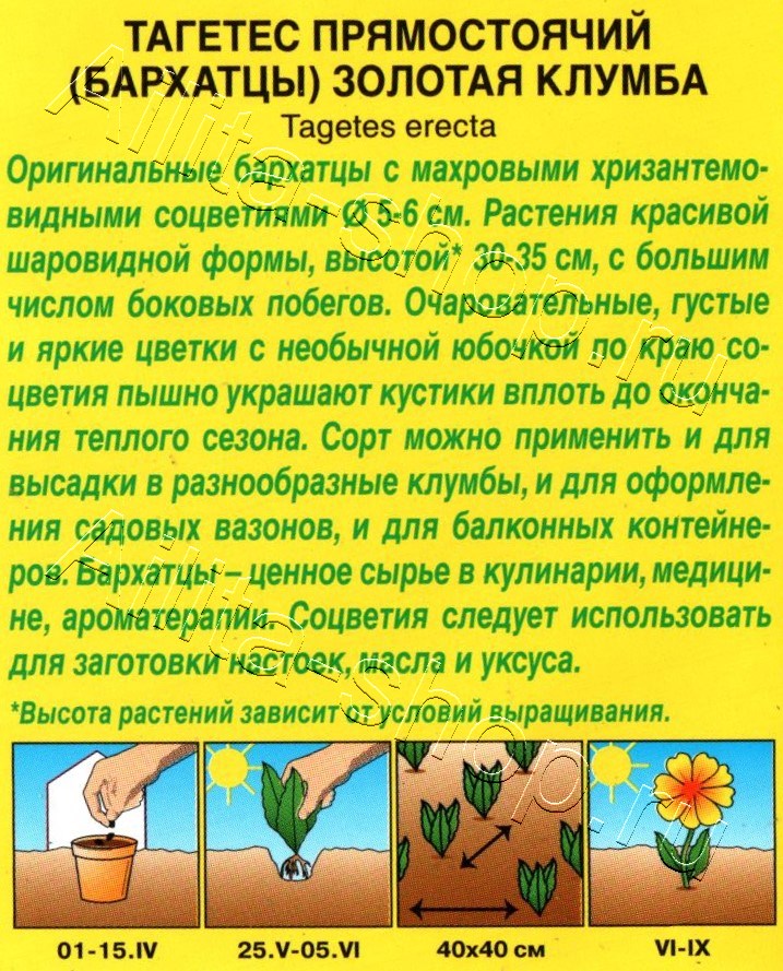 Бархатцы Золотая клумба прямостоячие 0,1г