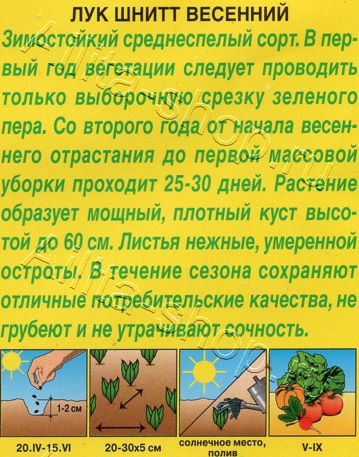 Лук шнитт Весенний 0,5г